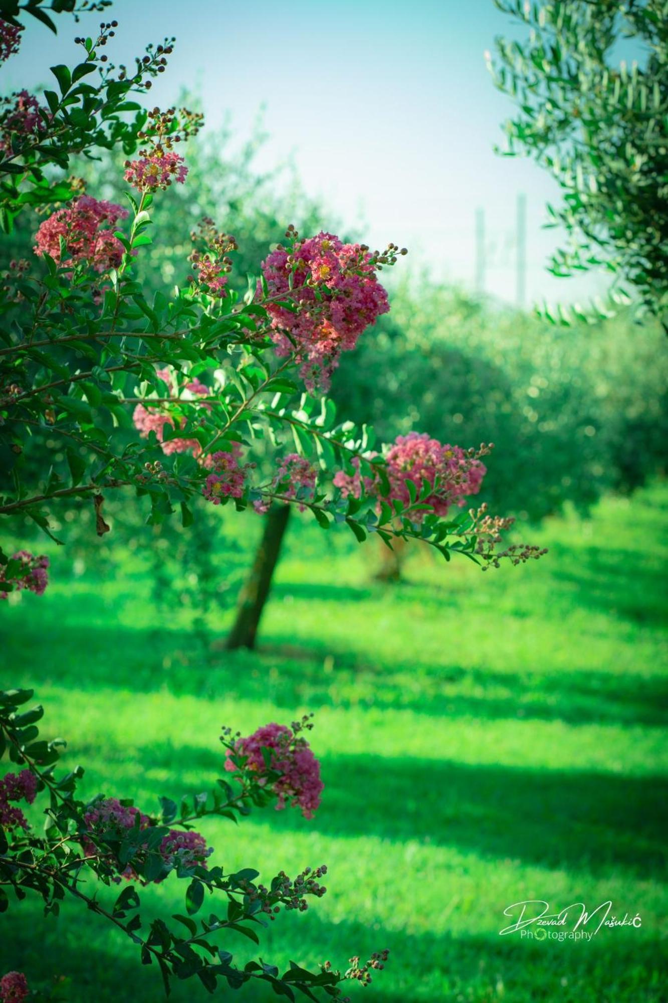 Agriturismo Olistella Villa Palazzolo dello Stella Kültér fotó